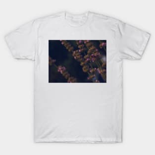 lavender flower field photography T-Shirt